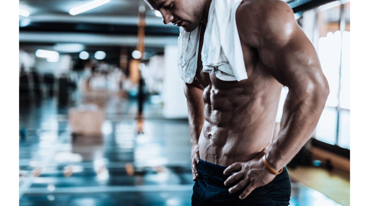 Best Mass Gainers
